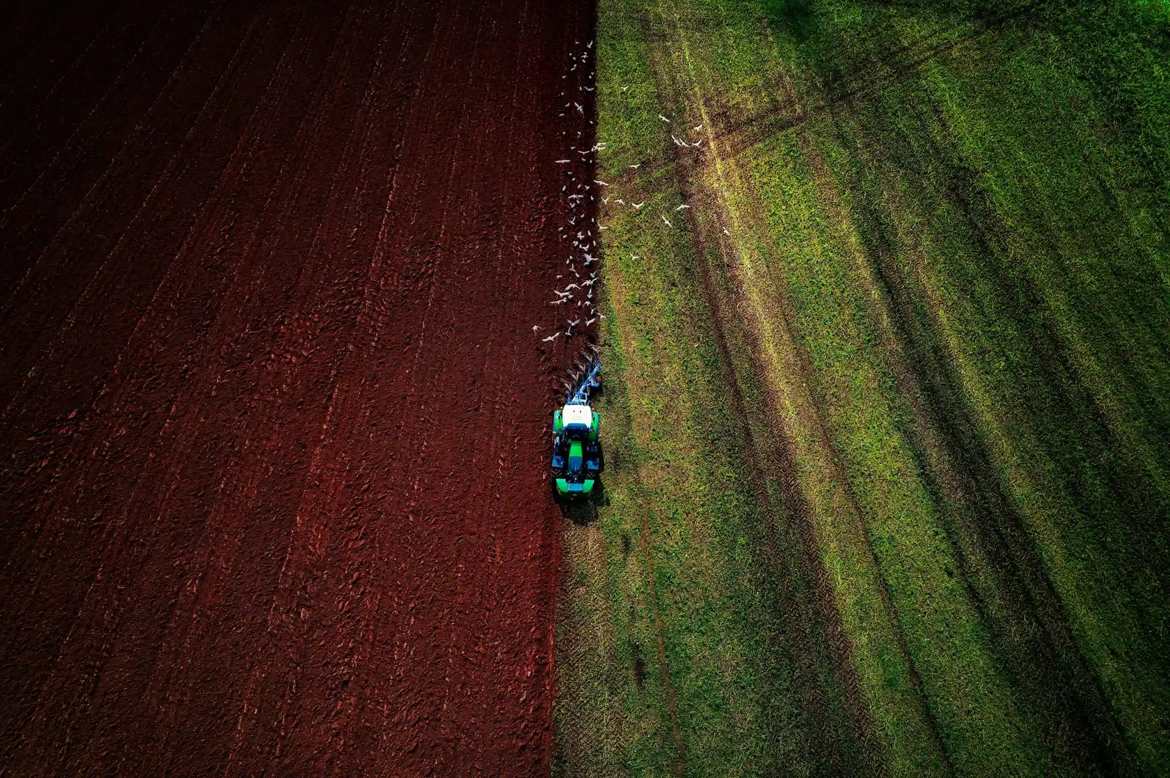 pic2